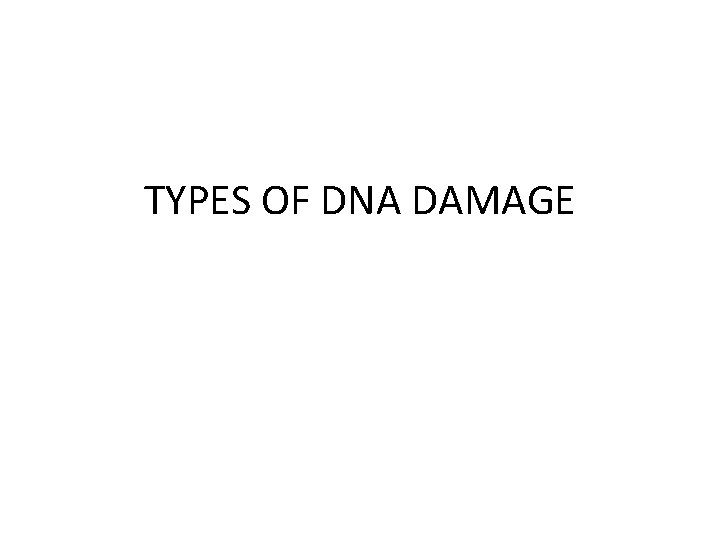 TYPES OF DNA DAMAGE 