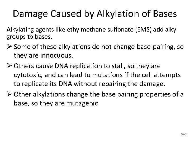 Damage Caused by Alkylation of Bases Alkylating agents like ethylmethane sulfonate (EMS) add alkyl