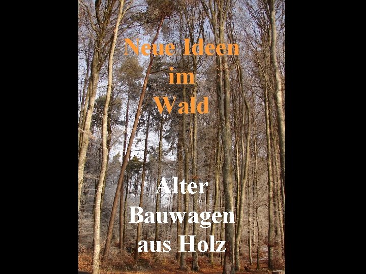 Neue Ideen im Wald Alter Bauwagen aus Holz 