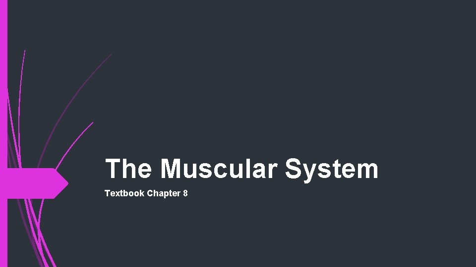 The Muscular System Textbook Chapter 8 