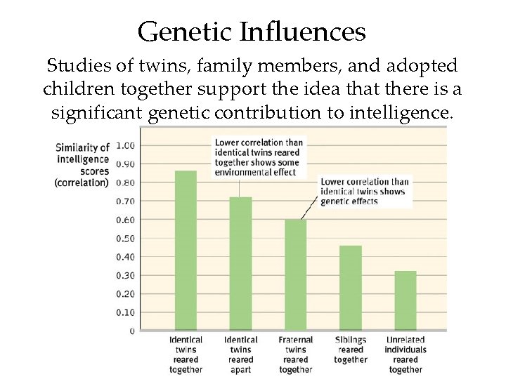 Genetic Influences Studies of twins, family members, and adopted children together support the idea Genetic Influences Studies of twins, family members, and adopted children together support the idea