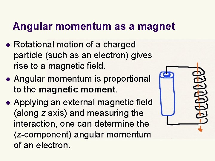 Angular momentum as a magnet l l l Rotational motion of a charged particle