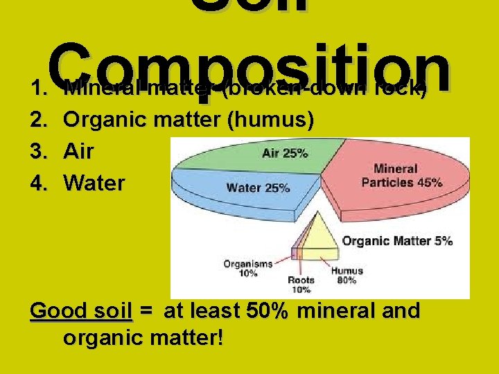 Soil Composition 1. 2. 3. 4. Mineral matter (broken-down rock) Organic matter (humus) Air