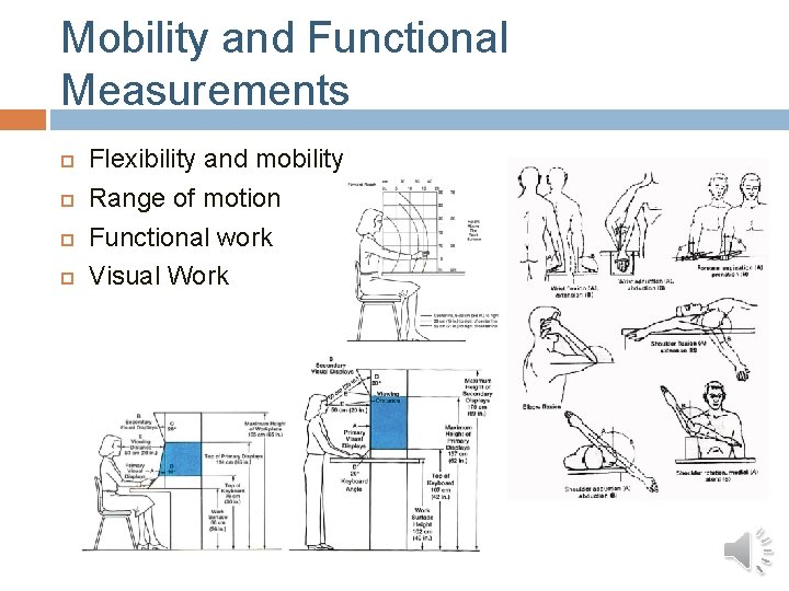 Mobility and Functional Measurements Flexibility and mobility Range of motion Functional work Visual Work