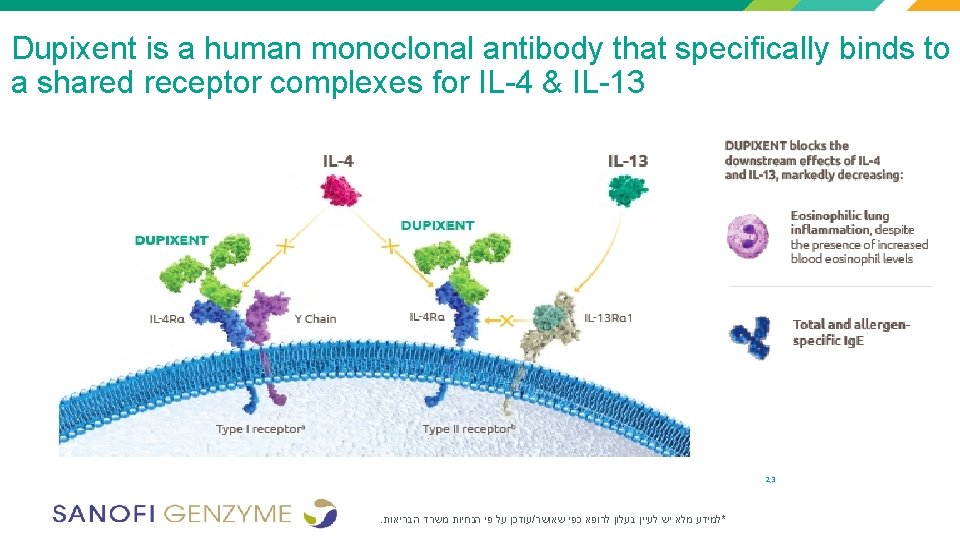 Dupixent is a human monoclonal antibody that specifically binds to a shared receptor complexes