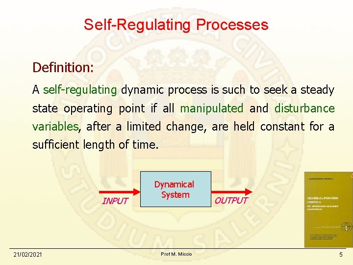 Self-Regulating Processes Definition: A self-regulating dynamic process is such to seek a steady state