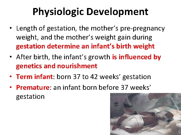 Physiologic Development • Length of gestation, the mother’s pre-pregnancy weight, and the mother’s weight