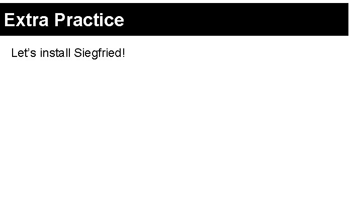 Extra Practice Let’s install Siegfried! 