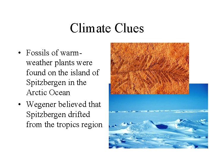 Climate Clues • Fossils of warmweather plants were found on the island of Spitzbergen