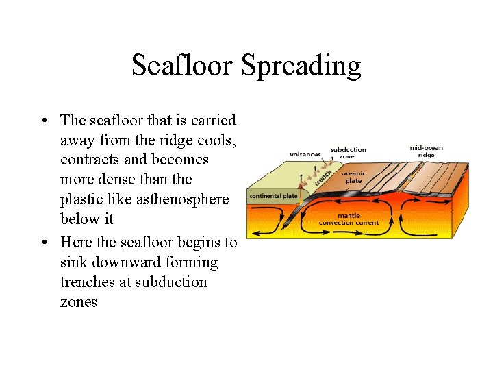 Seafloor Spreading • The seafloor that is carried away from the ridge cools, contracts