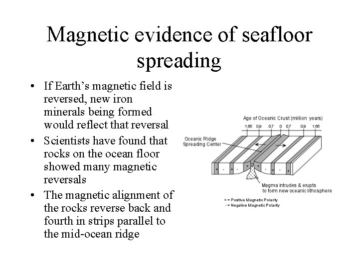 Magnetic evidence of seafloor spreading • If Earth’s magnetic field is reversed, new iron