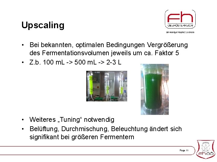 Upscaling • Bei bekannten, optimalen Bedingungen Vergrößerung des Fermentationsvolumen jeweils um ca. Faktor 5