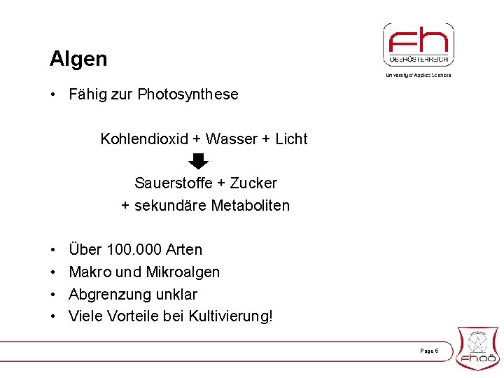 Algen • Fähig zur Photosynthese Kohlendioxid + Wasser + Licht Sauerstoffe + Zucker +