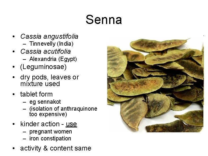 Senna • Cassia angustifolia – Tinnevelly (India) • Cassia acutifolia – Alexandria (Egypt) •
