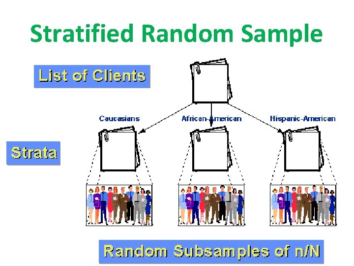 Stratified Random Sample 