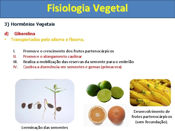 Fisiologia Vegetal 3) Hormônios Vegetais d) Giberelina • Transportadas pelo xilema e floema. I.