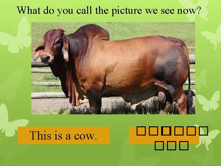 What do you call the picture we see now? This is a cow. ����