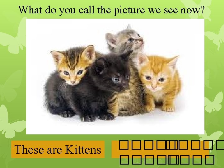 What do you call the picture we see now? These are Kittens ����� 