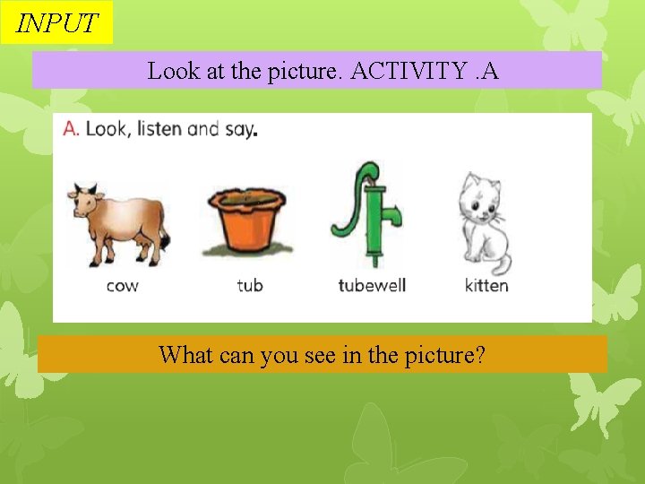 INPUT Look at the picture. ACTIVITY. A What can you see in the picture?