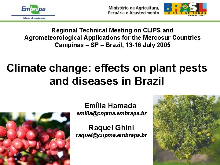 Regional Technical Meeting on CLIPS and Agrometeorological Applications for the Mercosur Countries Campinas –