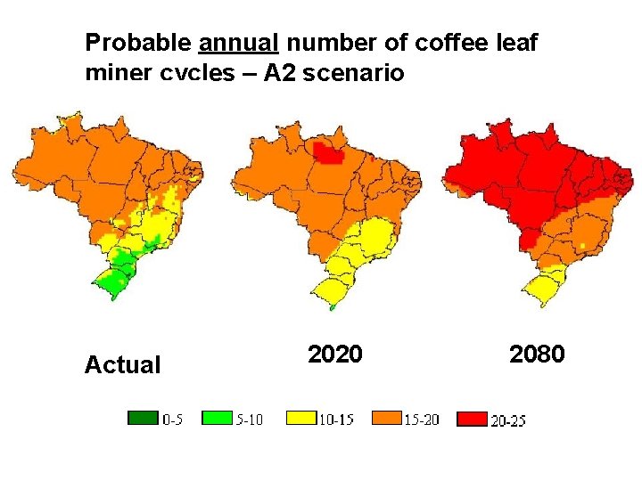 Probable annual number of coffee leaf miner cycles – A 2 scenario Actual 2020