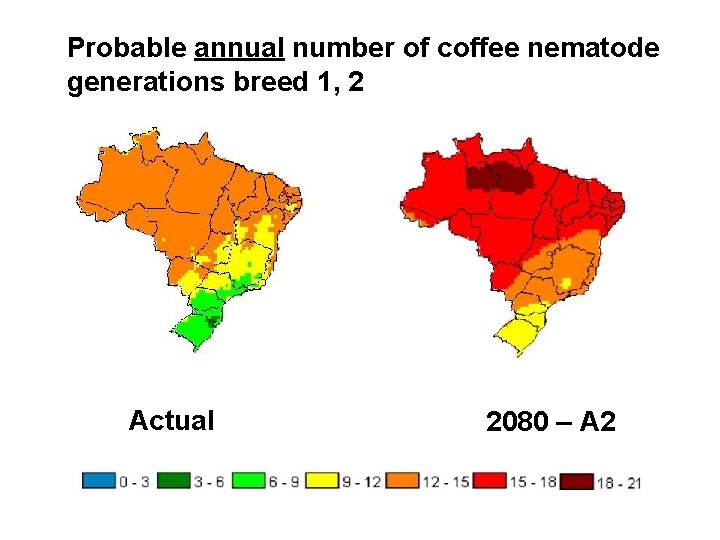 Probable annual number of coffee nematode generations breed 1, 2 Actual 2080 – A