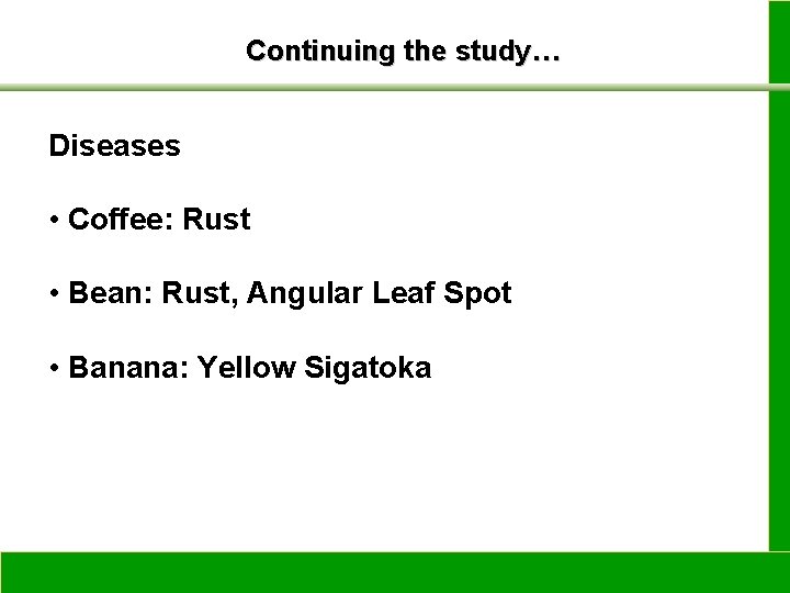 Continuing the study… Diseases • Coffee: Rust • Bean: Rust, Angular Leaf Spot •