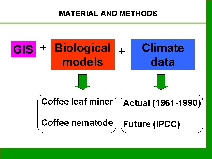 MATERIAL AND METHODS GIS + Biological + models Climate data Coffee leaf miner Actual