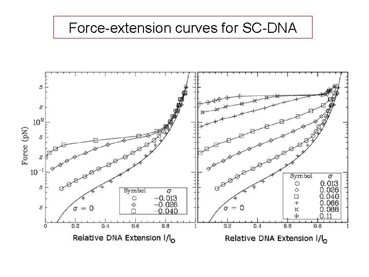 single supercoiled dnas dna