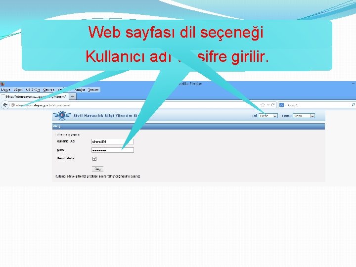 Web sayfası dil seçeneği http: //otomasyon. shgm. gov. tr/shgm. Seam Kullanıcı adı ve şifre