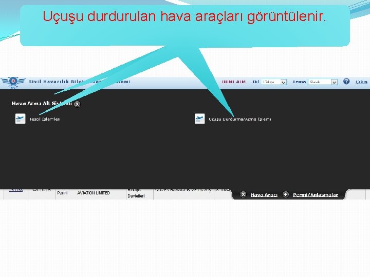 Tescile Hava kayıtlı aracı tescil olanlar bilgileri: görülür. Uçuşu durdurulan hava araçları görüntülenir. 