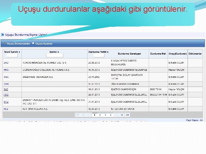 Uçuşu durdurulanlar aşağıdaki gibi görüntülenir. 