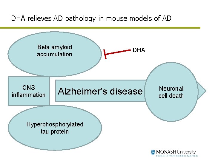 DHA relieves AD pathology in mouse models of AD Beta amyloid accumulation CNS inflammation