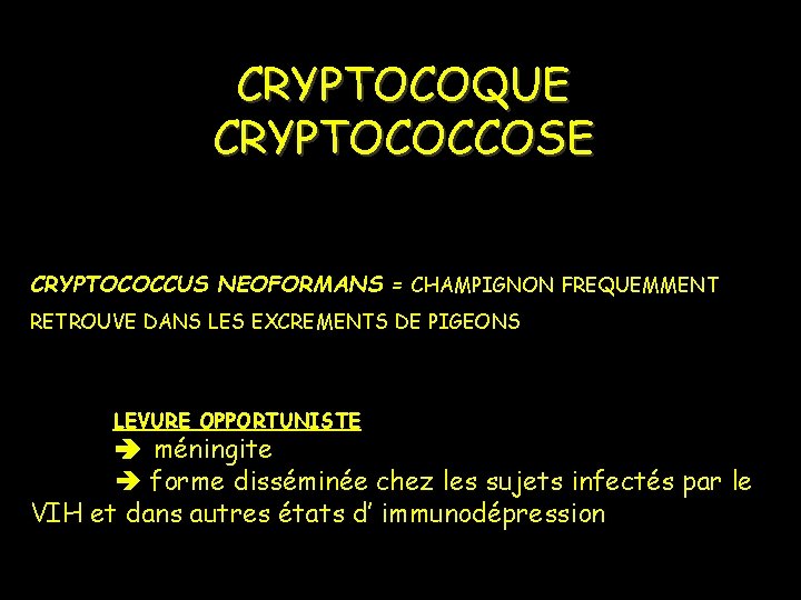 CRYPTOCOQUE CRYPTOCOCCOSE CRYPTOCOCCUS NEOFORMANS = CHAMPIGNON FREQUEMMENT RETROUVE DANS LES EXCREMENTS DE PIGEONS LEVURE