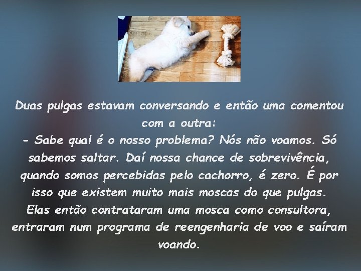 Duas pulgas estavam conversando e então uma comentou com a outra: - Sabe qual