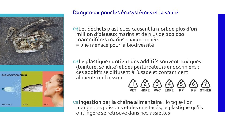 Le plastique impacts sur lenvironnement et la sant