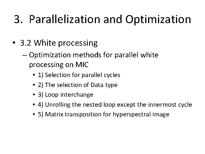 3. Parallelization and Optimization • 3. 2 White processing – Optimization methods for parallel