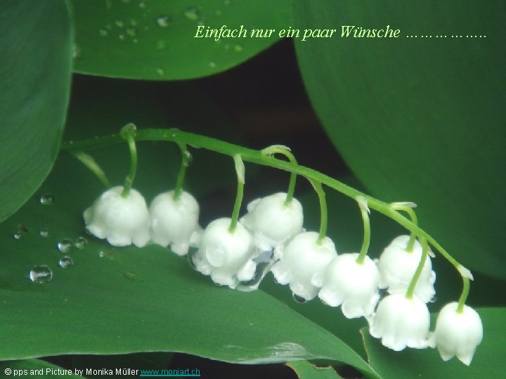 Einfach nur ein paar Wünsche ……………. . © pps and Picture by Monika Müller