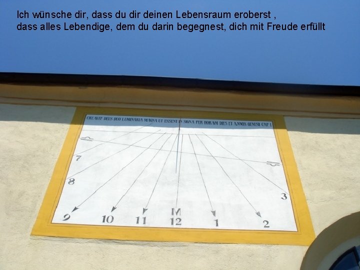 Ich wünsche dir, dass du dir deinen Lebensraum eroberst , dass alles Lebendige, dem