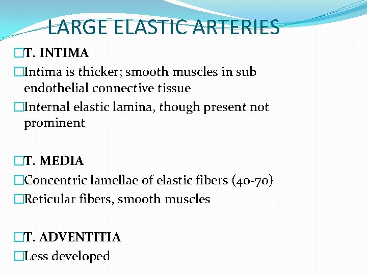 LARGE ELASTIC ARTERIES �T. INTIMA �Intima is thicker; smooth muscles in sub endothelial connective LARGE ELASTIC ARTERIES �T. INTIMA �Intima is thicker; smooth muscles in sub endothelial connective