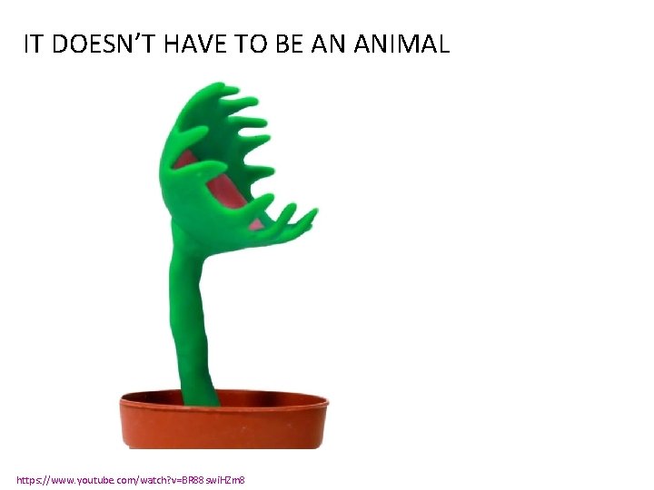 IT DOESN’T HAVE TO BE AN ANIMAL https: //www. youtube. com/watch? v=BR 88 swi.