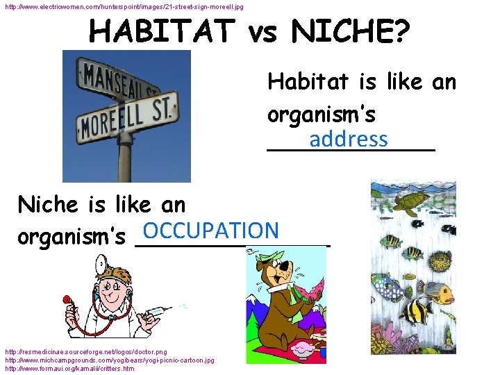 http: //www. electricwomen. com/hunterspoint/images/21 -street-sign-moreell. jpg HABITAT vs NICHE? Habitat is like an organism’s