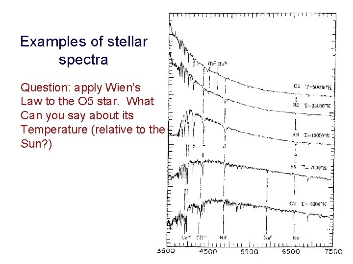 Examples of stellar spectra Question: apply Wien’s Law to the O 5 star. What