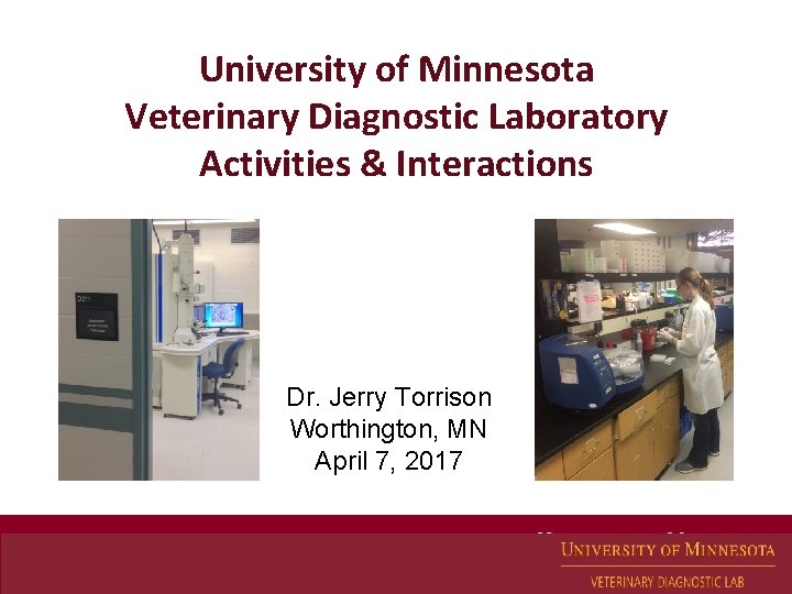 University of Minnesota Veterinary Diagnostic Laboratory Activities & Interactions Dr. Jerry Torrison Worthington, MN