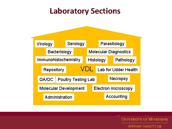 Laboratory Sections Serology Virology Bacteriology Molecular Diagnostics Immunohistochemistry Repository QA/QC Parasitology Histology VDL Lab