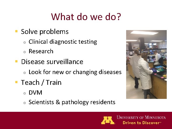 What do we do? § Solve problems Clinical diagnostic testing Research § Disease surveillance