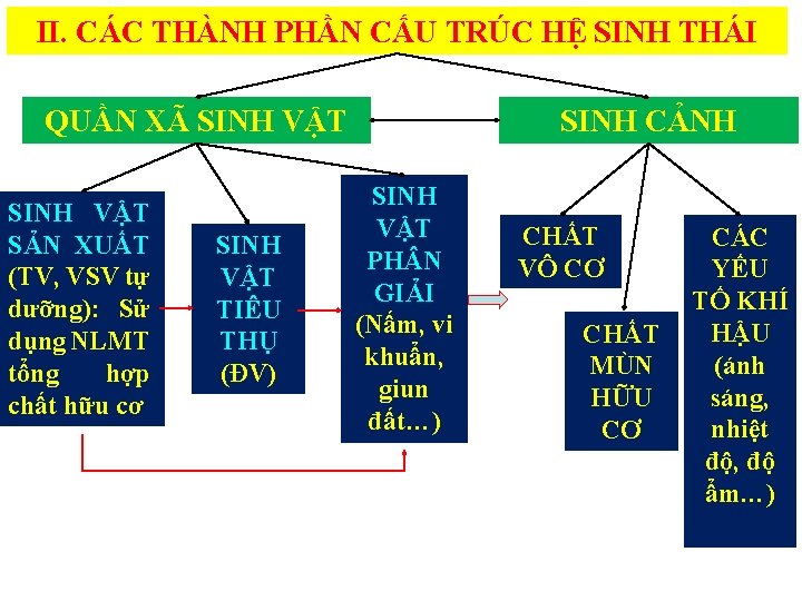 II. CÁC THÀNH PHẦN CẤU TRÚC HỆ SINH THÁI QUẦN XÃ SINH VẬT SẢN