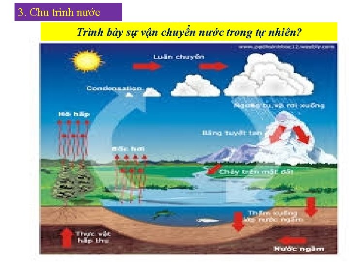 3. Chu trình nước Trình bày sự vận chuyển nước trong tự nhiên? 