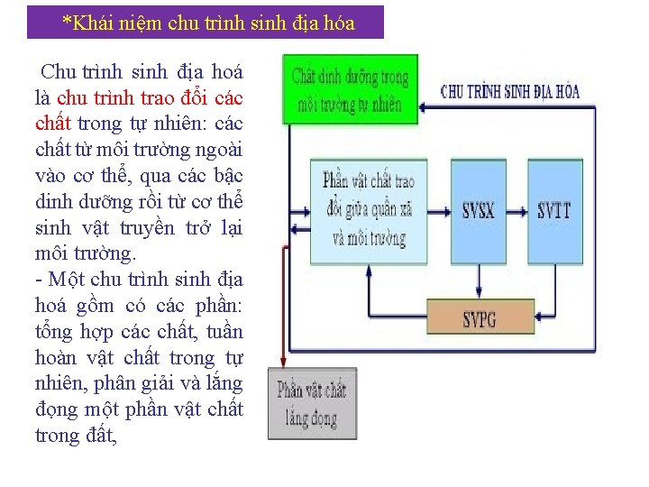  *Khái niệm chu trình sinh địa hóa Chu trình sinh địa hoá là