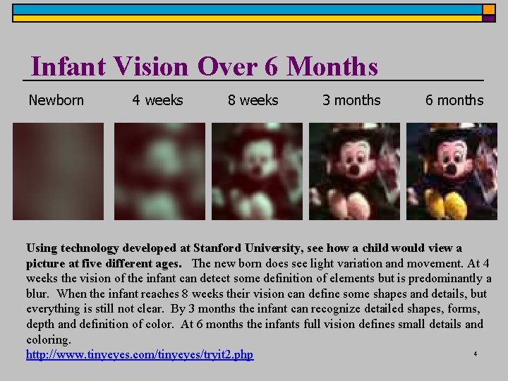 Infant Vision Over 6 Months Newborn 4 weeks 8 weeks 3 months 6 months Infant Vision Over 6 Months Newborn 4 weeks 8 weeks 3 months 6 months